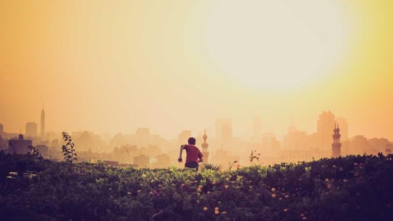 天堂禁漫：以清净之心守护网络一方净土